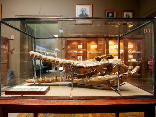Museu Geológico Museu Geológico