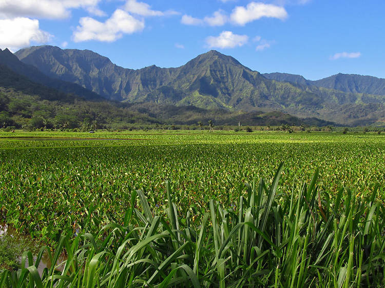 Kauai, Hawaii