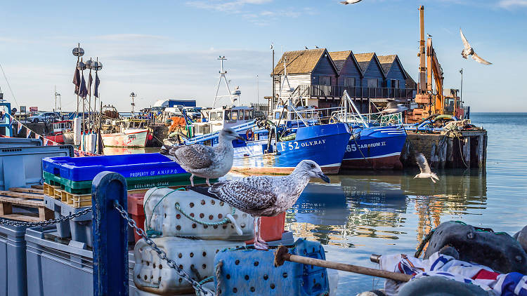 Whitstable - day trips from London 2018