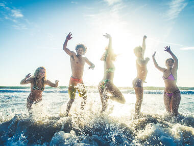 South Florida is officially the most searched spring break destination in the U.S. South Florida is officially the most searched spring break destination in the U.S.