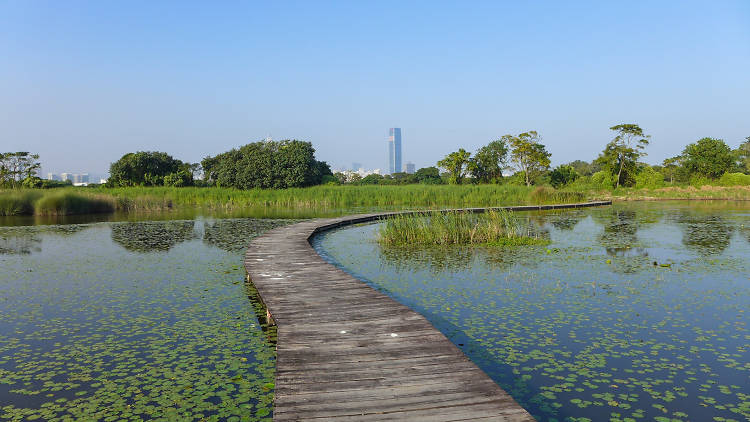 Mai Po Nature Reserve