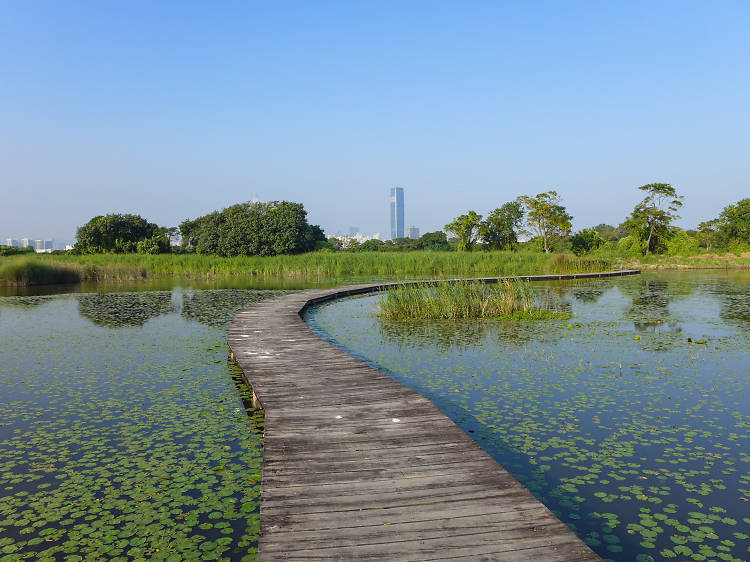 The best spots to go birdwatching in Hong Kong