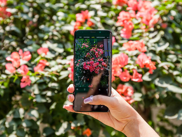 Samsung Galaxy S9+ Samsung Galaxy S9+