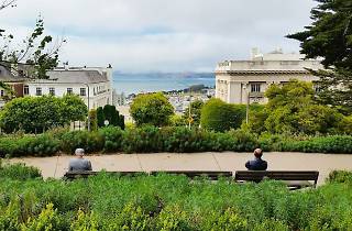 Lafayette Park Attractions in Pacific Heights, San Francisco