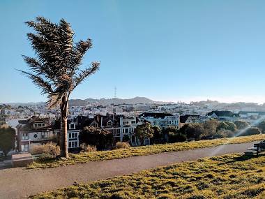The 12 best San Francisco parks The 12 best San Francisco parks
