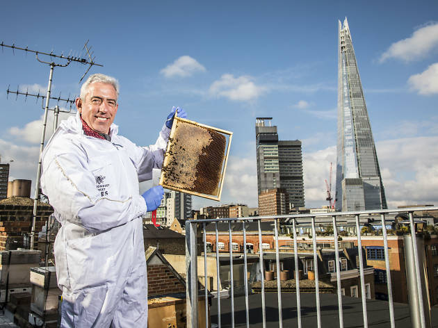 TYOK Urban beekeeper TYOK Urban beekeeper