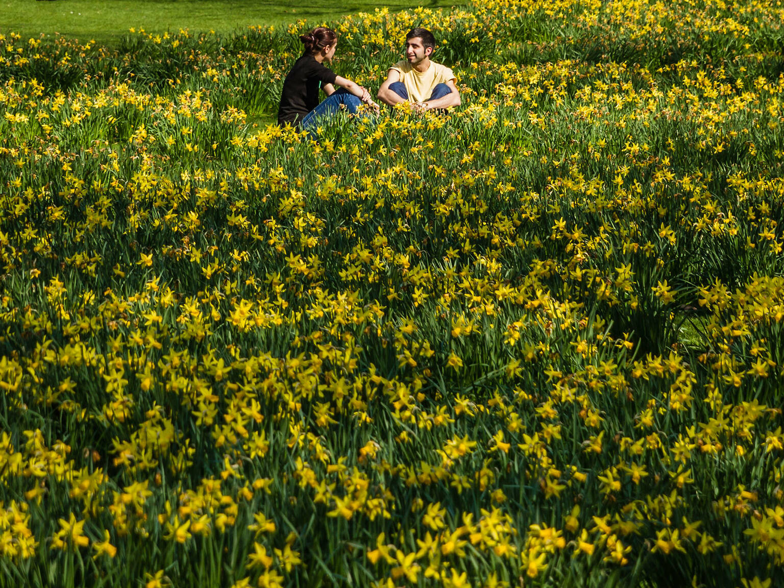 23 Stunning Places To See Spring Flowers in London Parks and Gardens