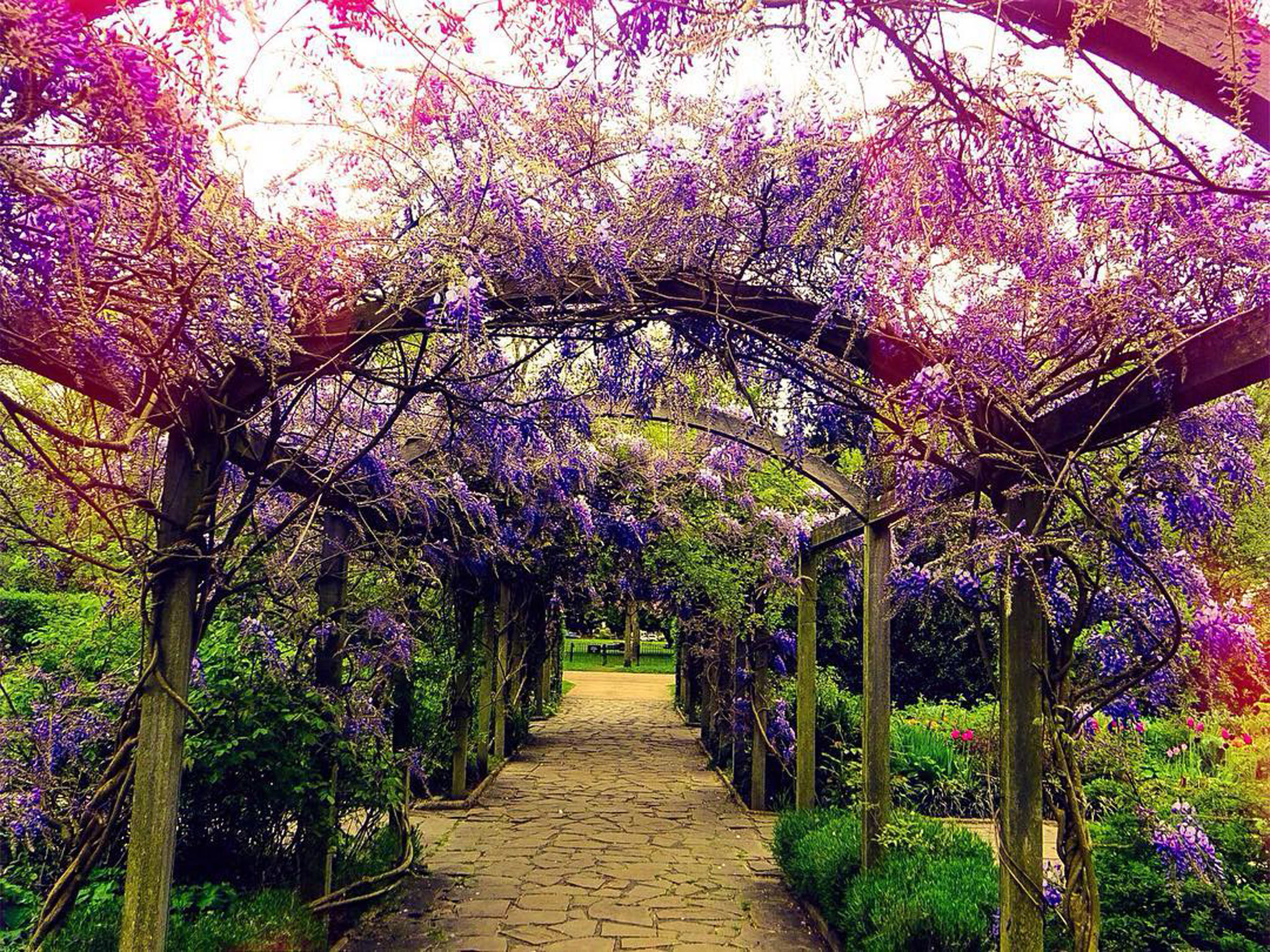 23 Stunning Places To See Spring Flowers in London Parks and Gardens