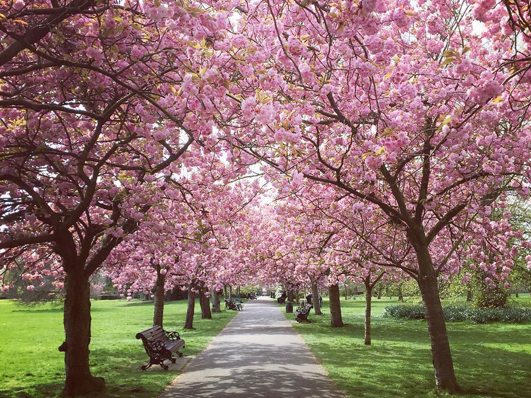 23 Stunning Places To See Spring Flowers in London Parks and Gardens