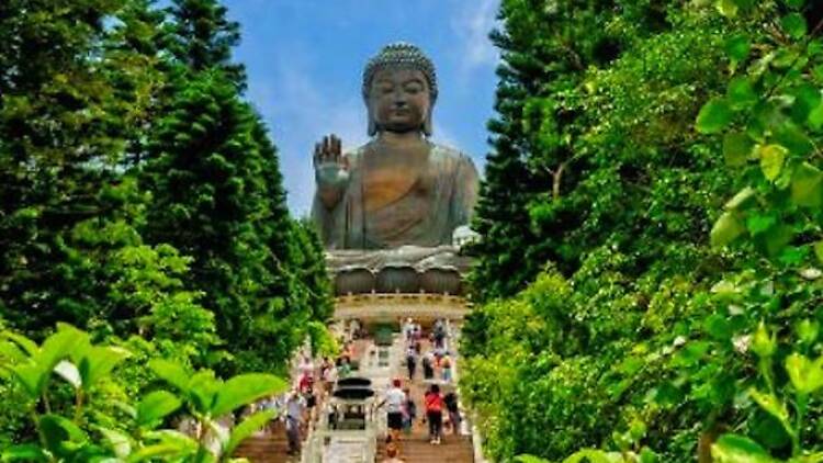 Lantau Island Tour