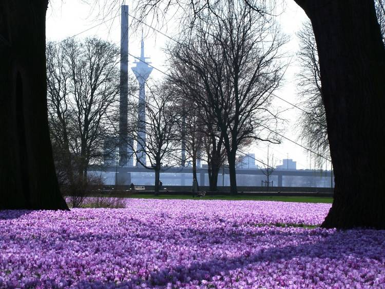 The best time to visit Düsseldorf