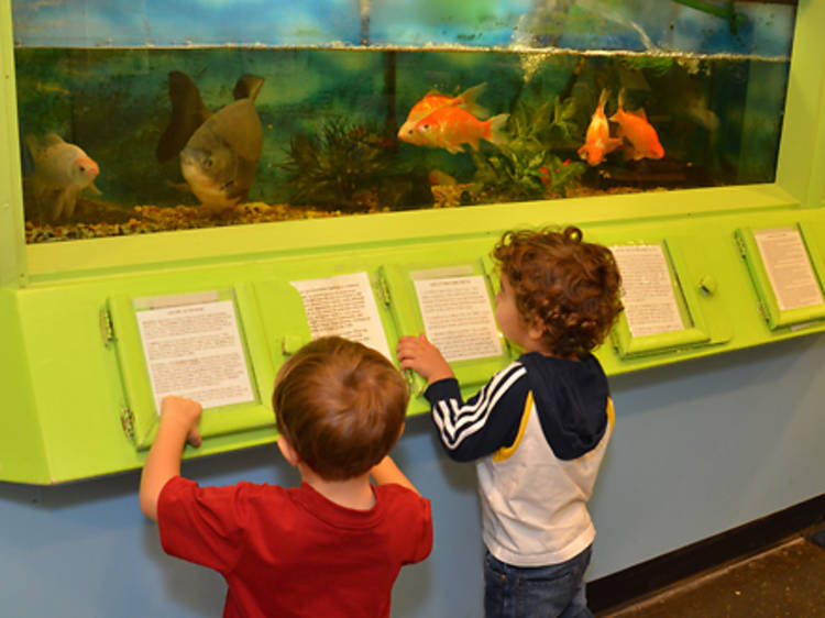 Alley Pond Environmental Center