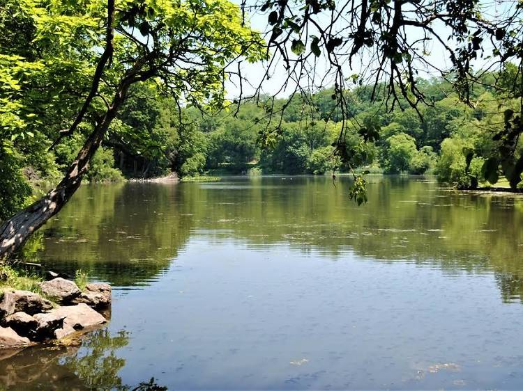 Van Cortlandt Nature Center