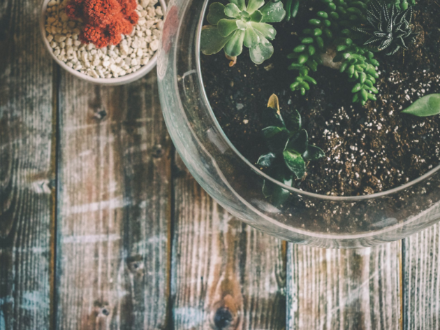 Ce week-end, grand marché aux plantes au Ground Control © DR