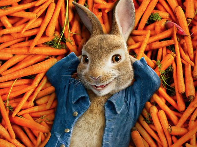 Peter Rabbit Peter Rabbit