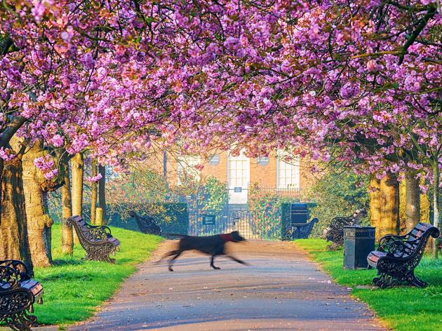 35 superb things to do in London this weekend 35 superb things to do in London this weekend