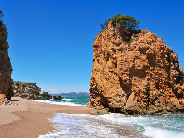 Cala de Illa Roja (Begur)