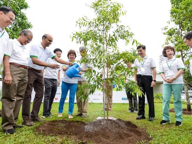 Clean and Green Singapore Clean and Green Singapore