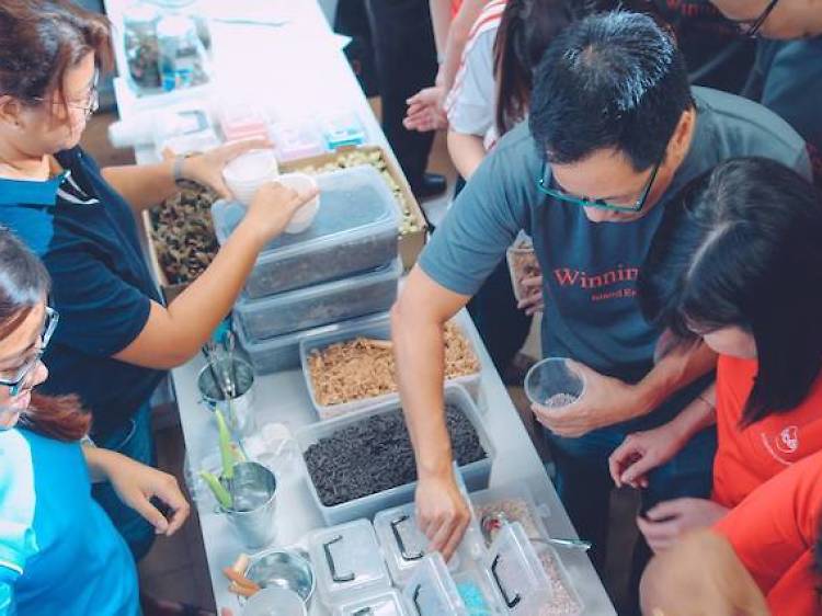 10 places to volunteer at in Singapore