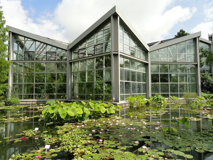 The Tropicarium Greenhouse at PalmenGarten