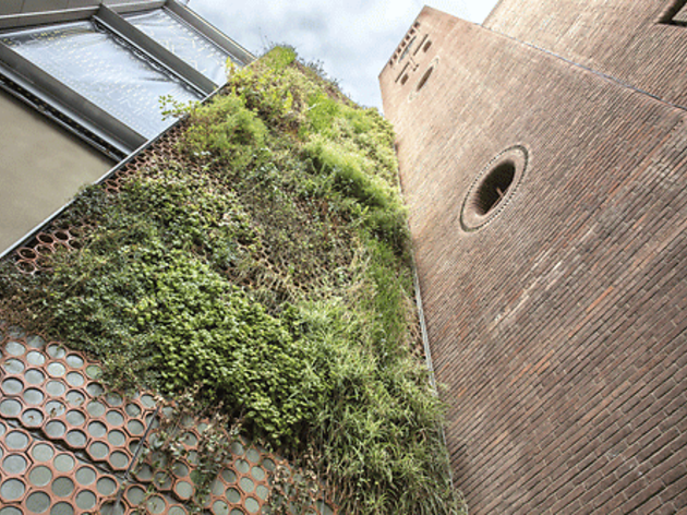 Teatre del Raval Jardín vertical del Teatre del Raval