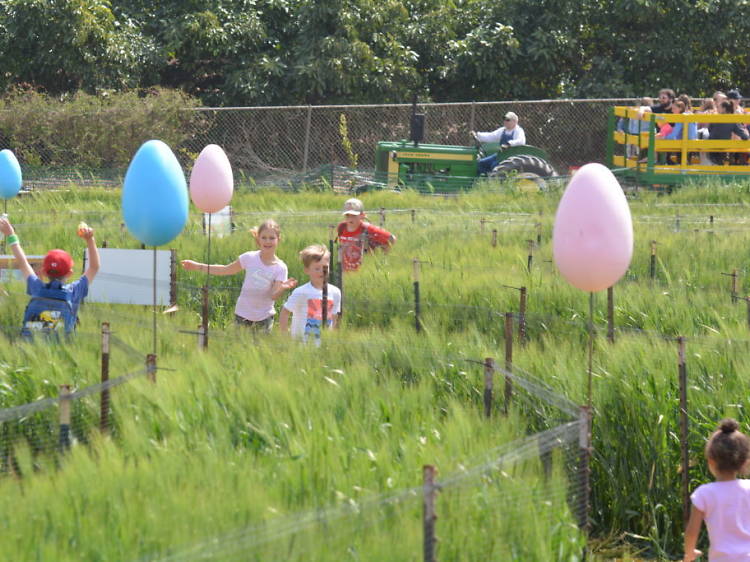 Where to Go on an Easter Egg Hunt in Los Angeles