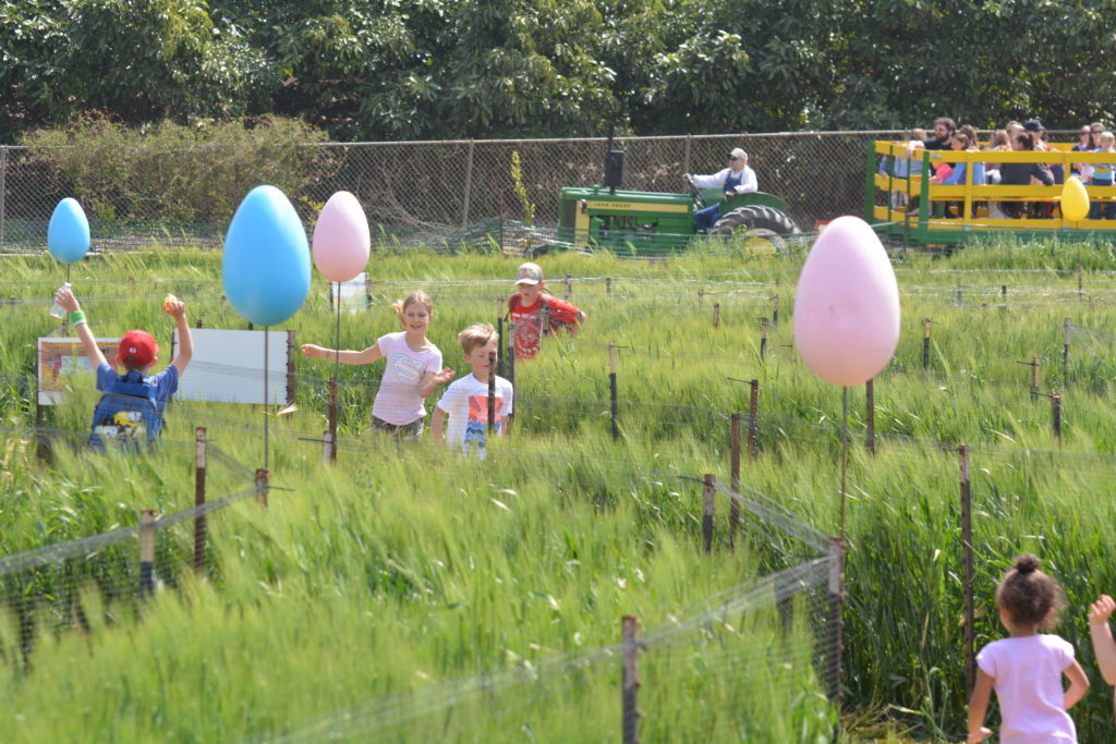 Easter on the Farm Things to do in Los Angeles