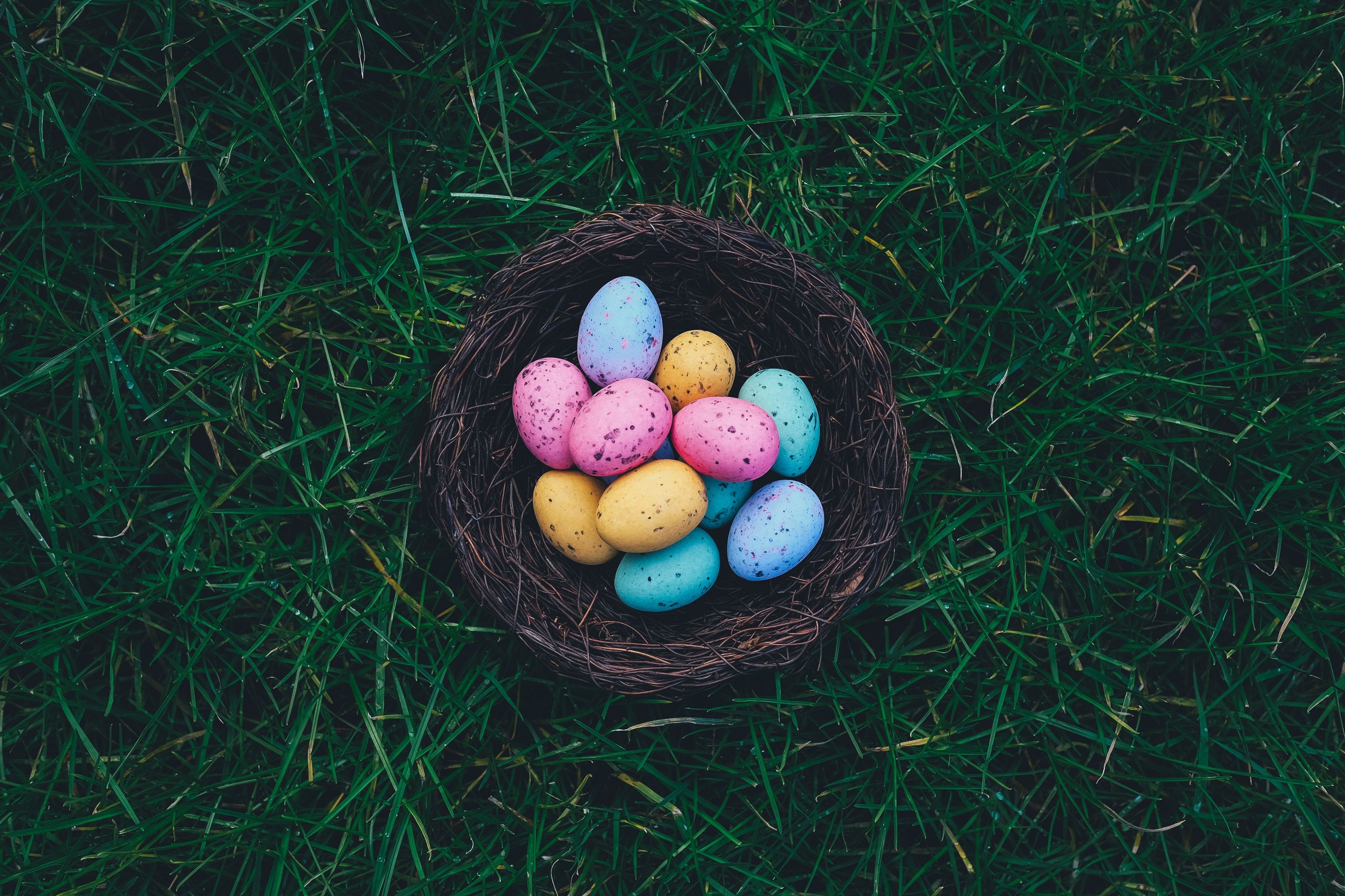 where to go for easter egg hunt