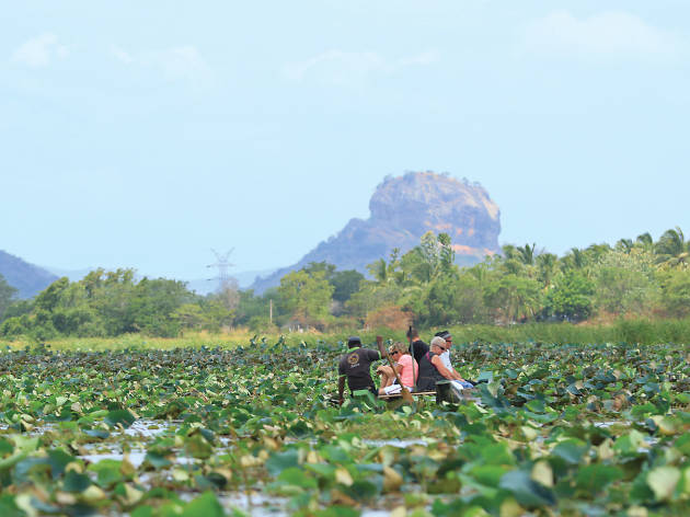 Enjoy a boat ride along the scenic Hiriwadunna wewa, a reservoir filled with water lilies Enjoy a boat ride along the scenic Hiriwadunna wewa, a reservoir filled with water lilies