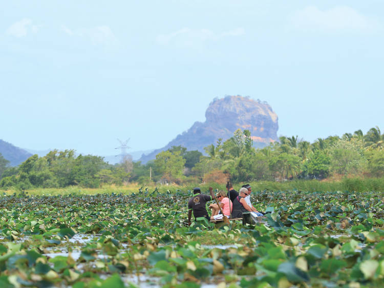 Enjoy a boat ride along the scenic Hiriwadunna wewa, a reservoir filled with water lilies