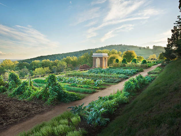 Monticello in Charlottesville Monticello in Charlottesville