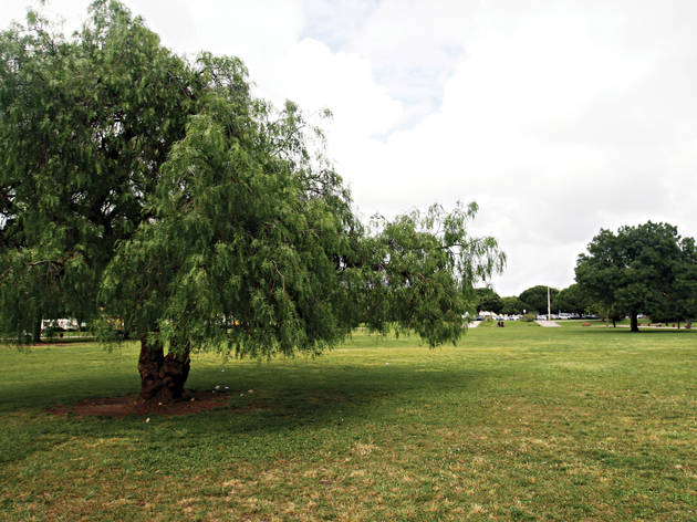 Jardim Vasco da Gama Jardim Vasco da Gama