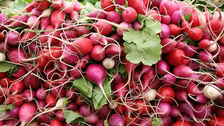 Radishes, spring onions and horseradish