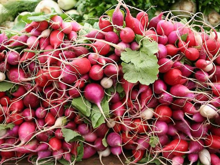 Radishes, spring onions and horseradish