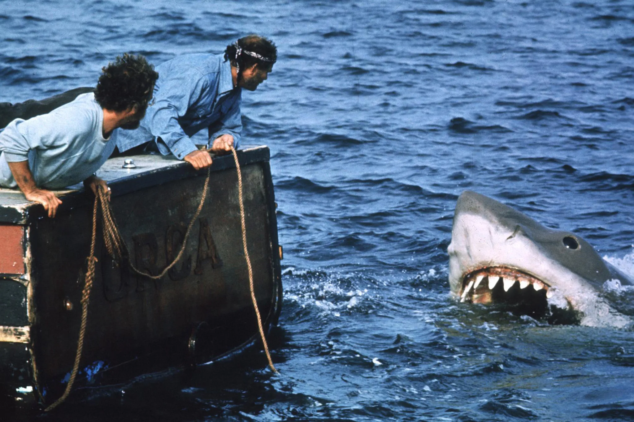 Jaws