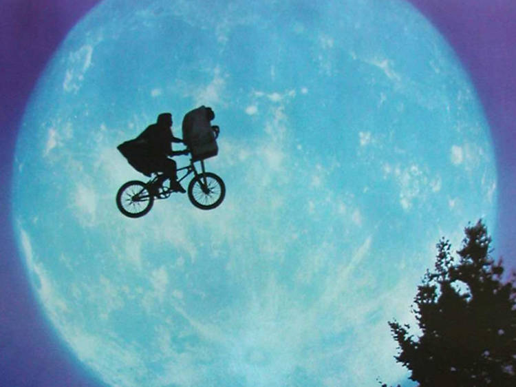 E.T. the Extra-Terrestrial