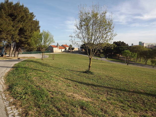 Parque da Bela Vista Parque da Bela Vista