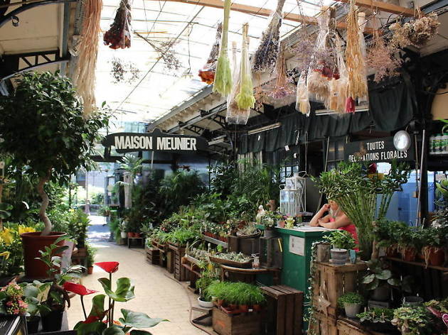 Marche aux Fleurs et aux Oiseaux Marche aux Fleurs et aux Oiseaux