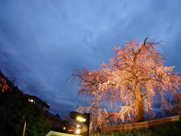 京都清水寺 京都清水寺