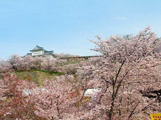 岡山津山城 岡山津山城