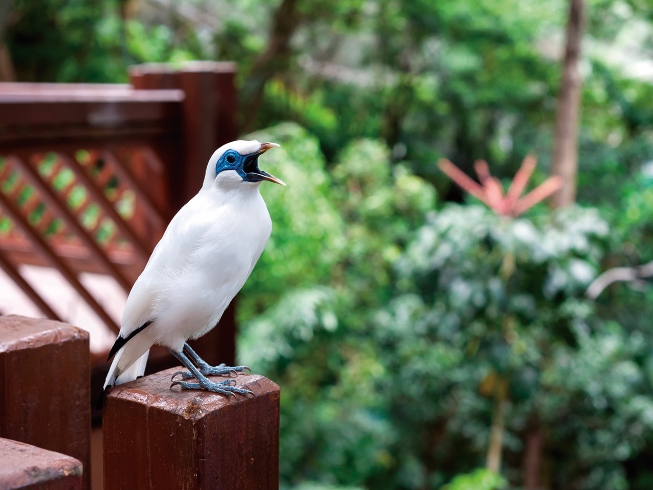 Best spots for bird watching in Hong Kong