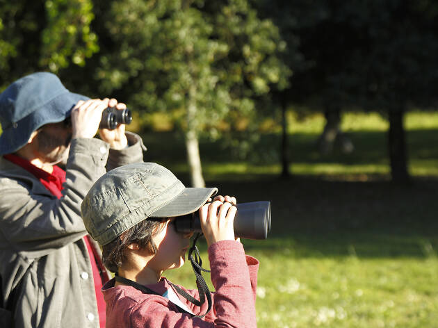 O Bioblitz acontece dia 21 e dia 22 de Abril em Serralves