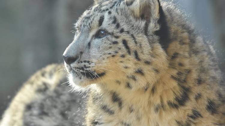 多摩動物公園