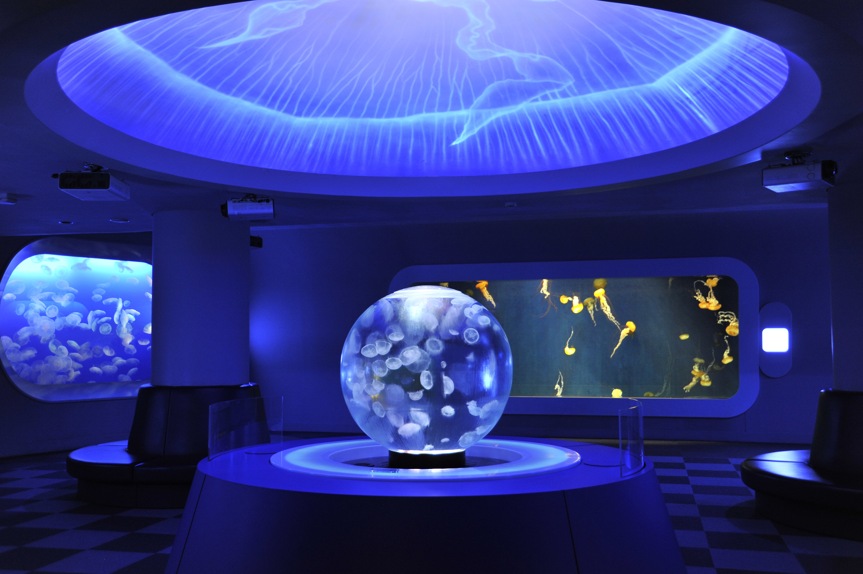 Best zoos and aquariums in Tokyo Time Out Tokyo