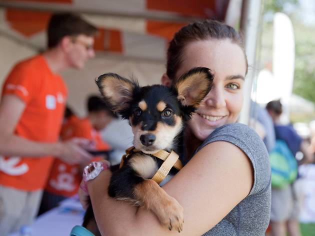 Best Friends NKLA Super Adoption Best Friends NKLA Super Adoption