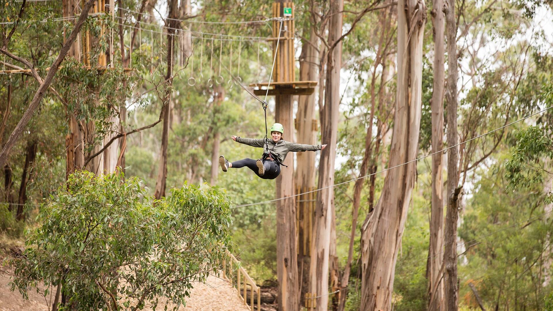 Live Wire Park | Attractions in Lorne, Melbourne