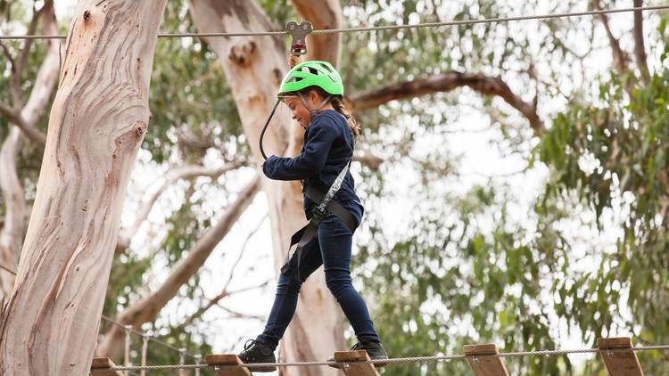 Live Wire Park, Tree Ropes & Zip Line Lorne