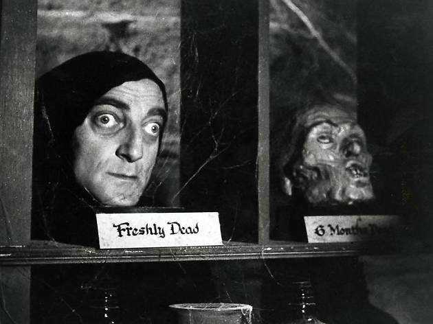Young Frankenstein