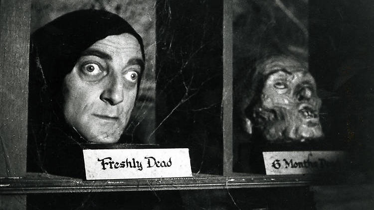 Young Frankenstein