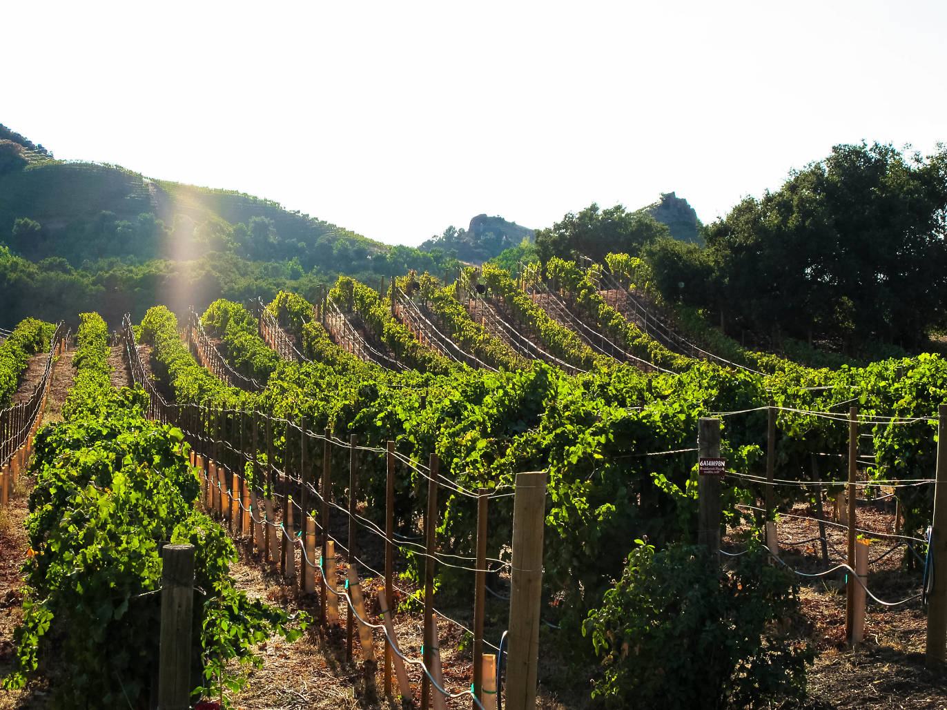 20 Best Experience Gifts in Los Angeles